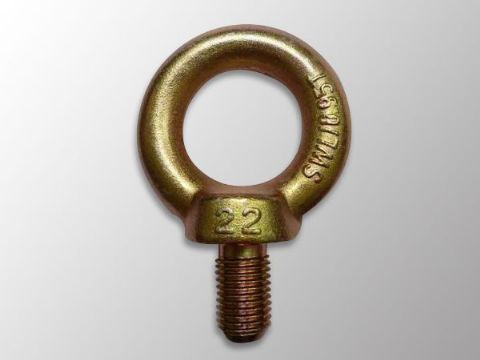 点击查看详细信息<br>标题：DIN580 Eye Bolt 阅读次数：850